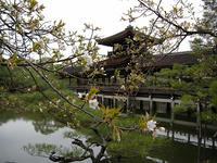 s-DSCN4343.jpg