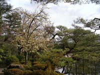 s-DSCN4365.jpg