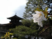 s-DSCN4371.jpg