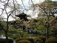 s-DSCN4372.jpg