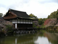 s-DSCN4379.jpg