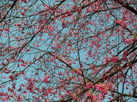 s-DSCN4537.jpg
