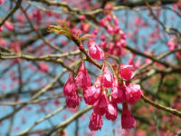 s-DSCN4540.jpg