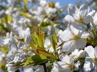 s-DSCN4548.jpg