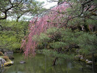 s-DSCN4606.jpg