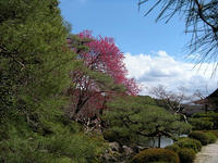 s-DSCN4633.jpg
