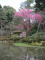 s-DSCN4642.jpg