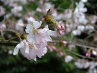 s-DSCN4647.jpg