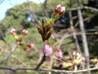 s-DSCN4669.jpg