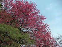 s-DSCN4670.jpg