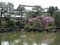 s-DSCN4686.jpg