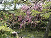 s-DSCN4687.jpg