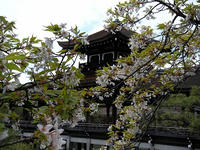 s-DSCN4618.jpg