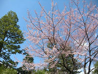 s-DSCN4752.jpg