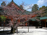 s-DSCN4774.jpg