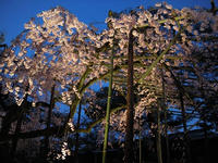 s-DSCN4846.jpg