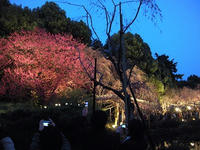 s-DSCN4855.jpg
