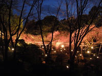 s-DSCN4869.jpg