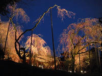 s-DSCN4870.jpg