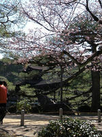 s-DSCN4939.jpg