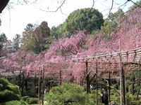 s-DSCN4969.jpg