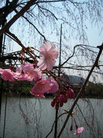 s-DSCN5002.jpg