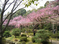 s-DSCN5021.jpg