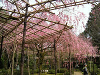 s-DSCN5023.jpg