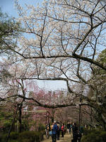 s-DSCN5057.jpg
