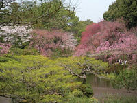 s-DSCN5060.jpg