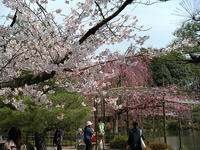 s-DSCN5061.jpg