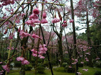 s-DSCN5065.jpg