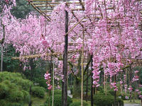 s-DSCN5070.jpg