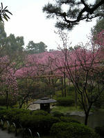 s-DSCN5084.jpg