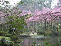 s-DSCN5083.jpg
