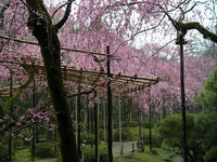 s-DSCN5086.jpg