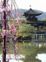 s-DSCN5132.jpg