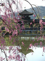 s-DSCN5141.jpg