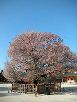 s-DSCN5150.jpg