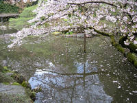 s-DSCN5159.jpg