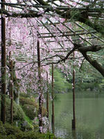 s-DSCN5161.jpg
