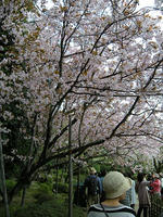 s-DSCN5197.jpg