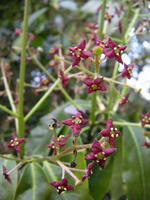 s-DSCN5211.jpg