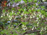 s-DSCN5226.jpg