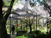 s-DSCN5237.jpg