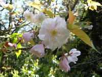 s-DSCN5244.jpg