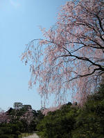 s-DSCN5247.jpg