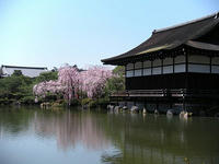 s-DSCN5250.jpg