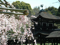 s-DSCN5261.jpg