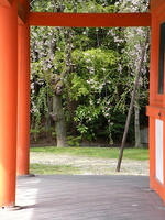s-DSCN5262.jpg